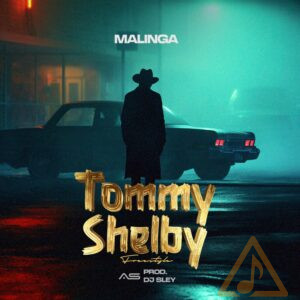 562332822 1119105573679288 6213310614691905944 n