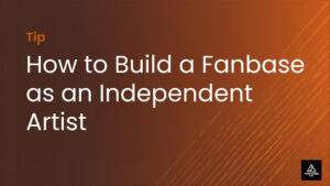 how to build a fanbase as an independent artist
