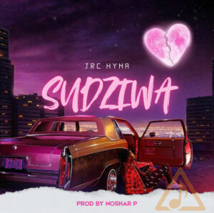 sudziwa 20251014 224528 0000