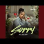 sorry by leslie