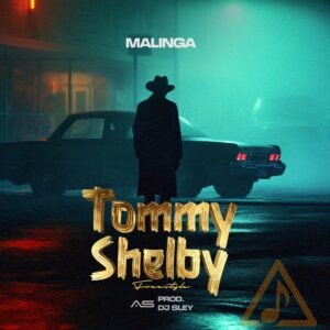 562332822 1119105573679288 6213310614691905944 n