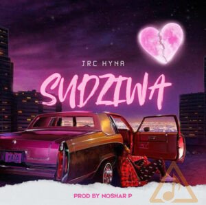 sudziwa 20251014 224528 0000